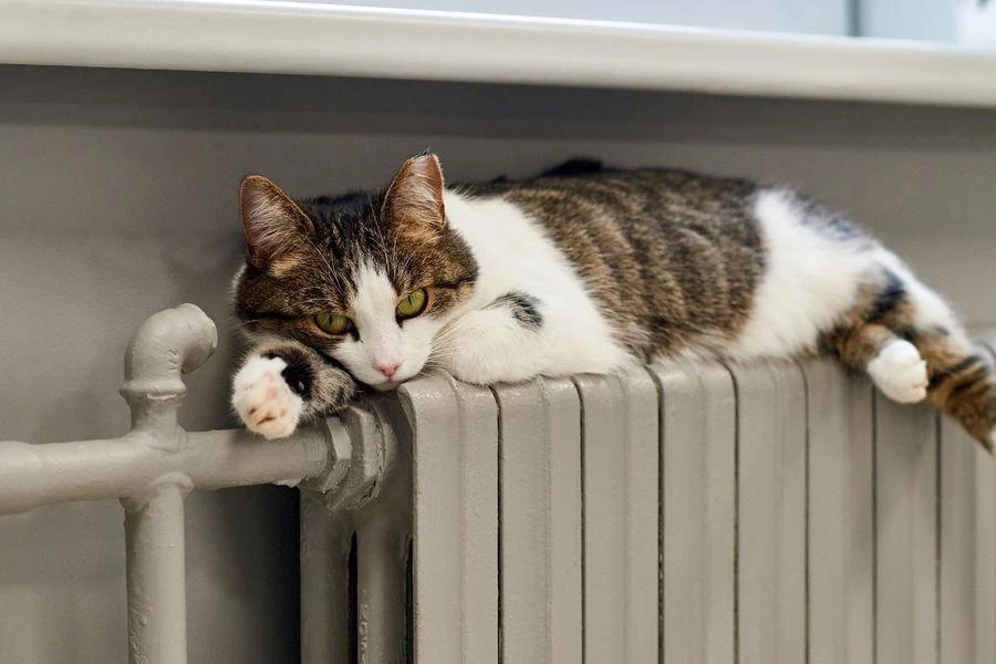🧣 Отопление в Москве полностью перевели на зимний режим — заммэра Петр Бирюков.