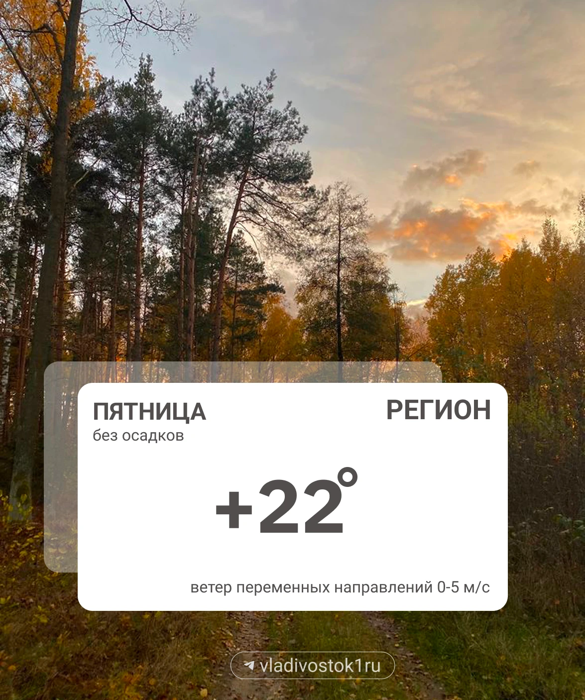 Погода 9 октября.