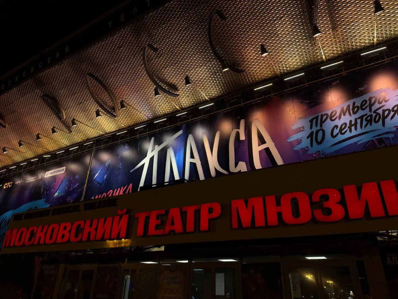 Подарили с мужем на день рождения его брата билеты на мюзикл "Плакса".