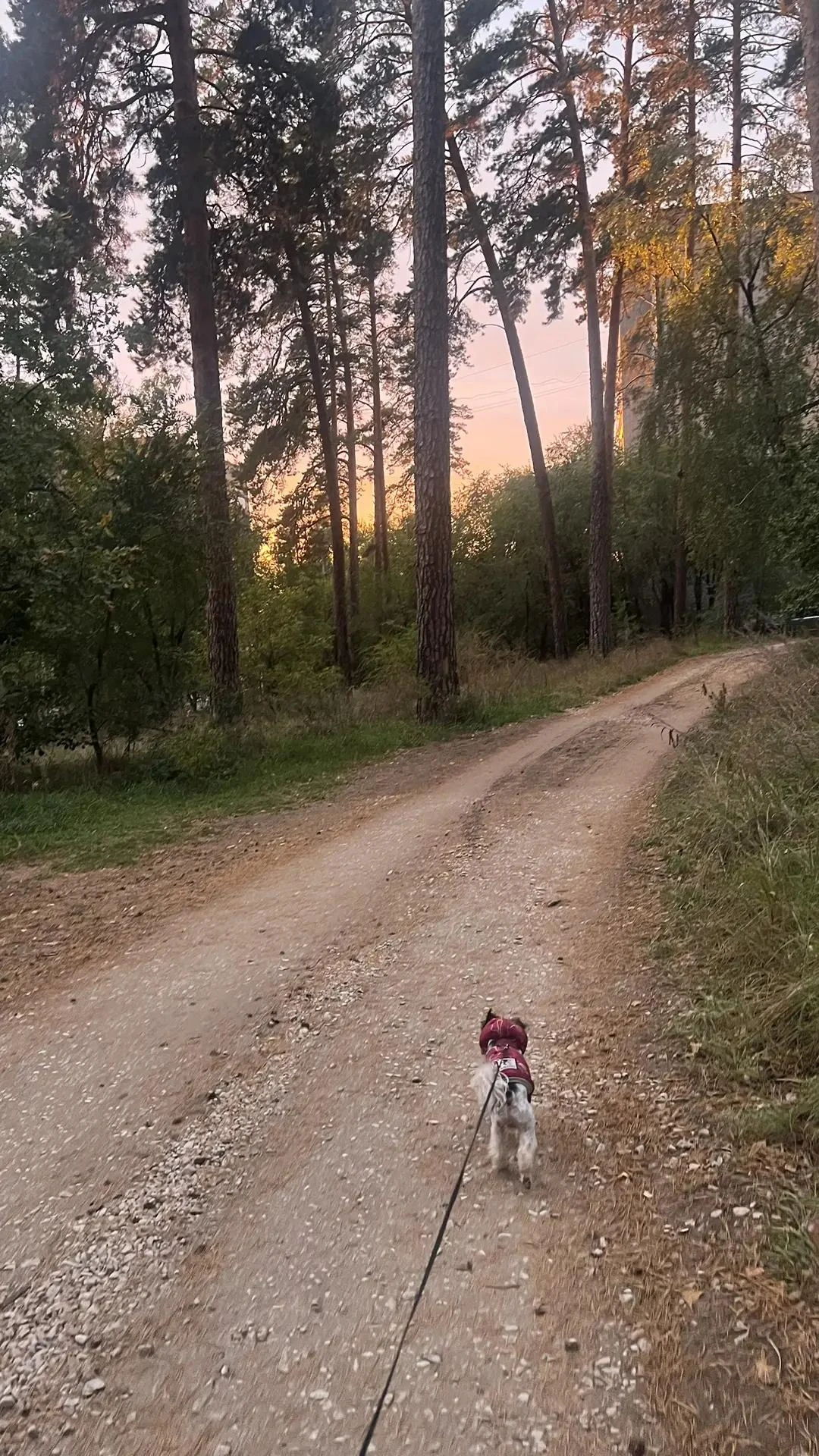 🌖О погоде
