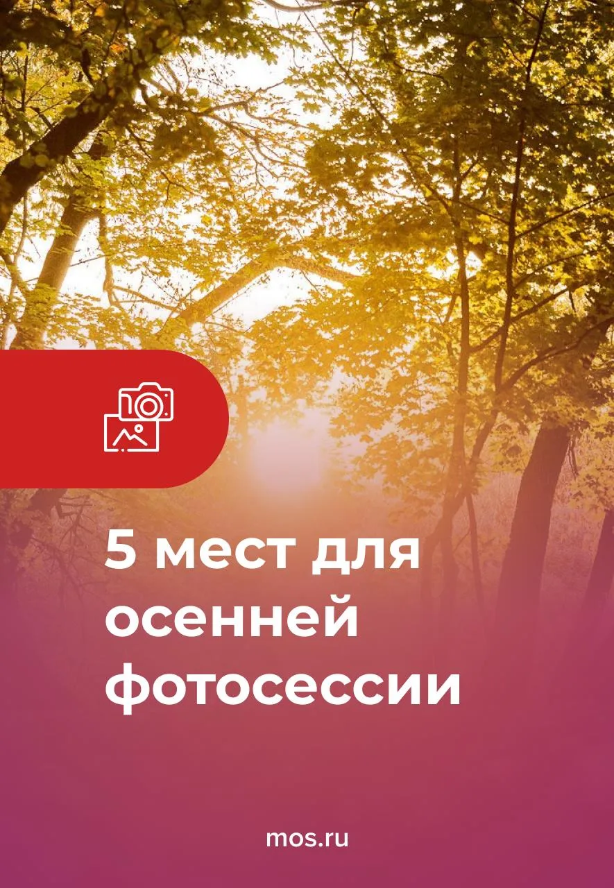 🍃 Осень в Москве — лучшее время для фотопрогулок в парках. Золотая листва, старинные у...