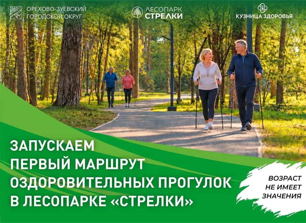 🌳 Субботнее утро — время выйти на прогулку!