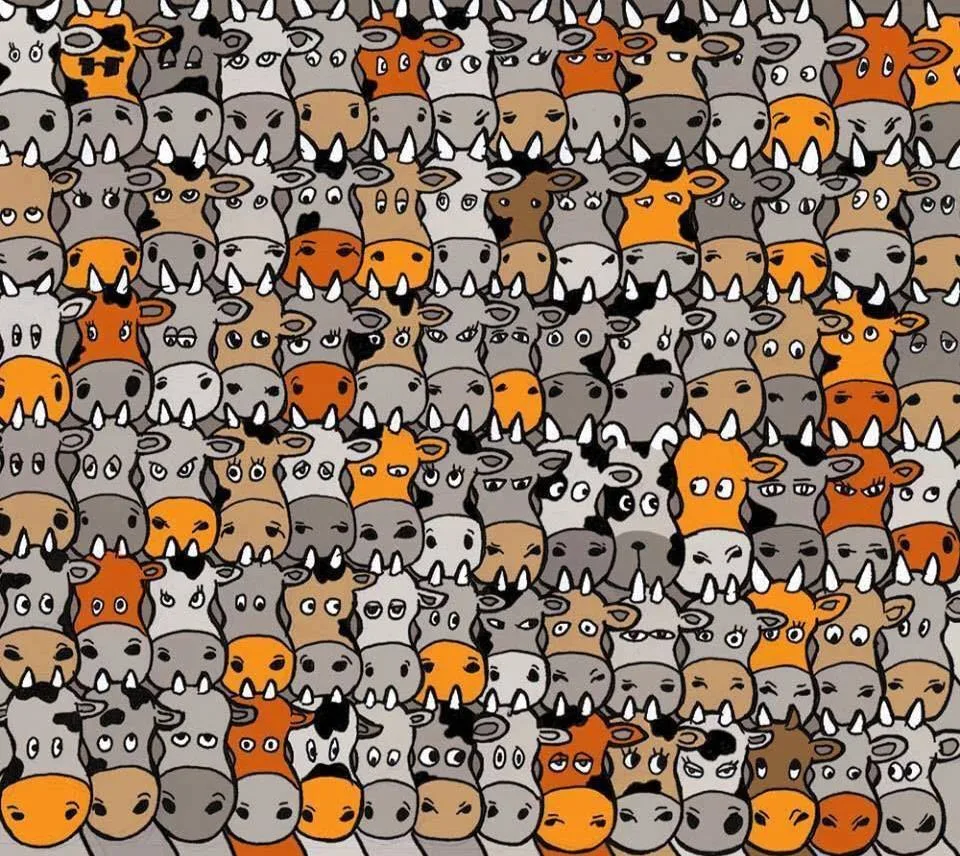 🧠 Только для людей с высоким интеллектом