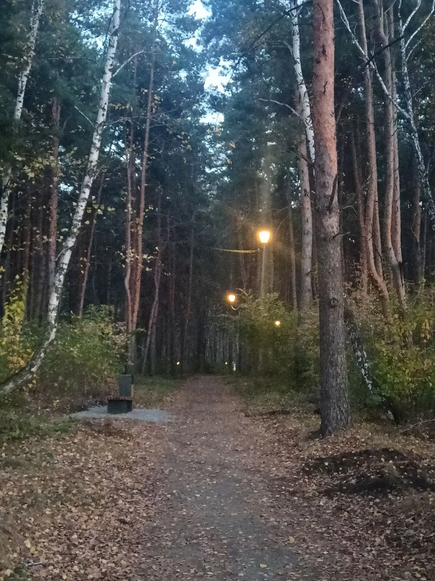 В парке появилось очень много тропинок, все они отсыпаны мелким гравием.