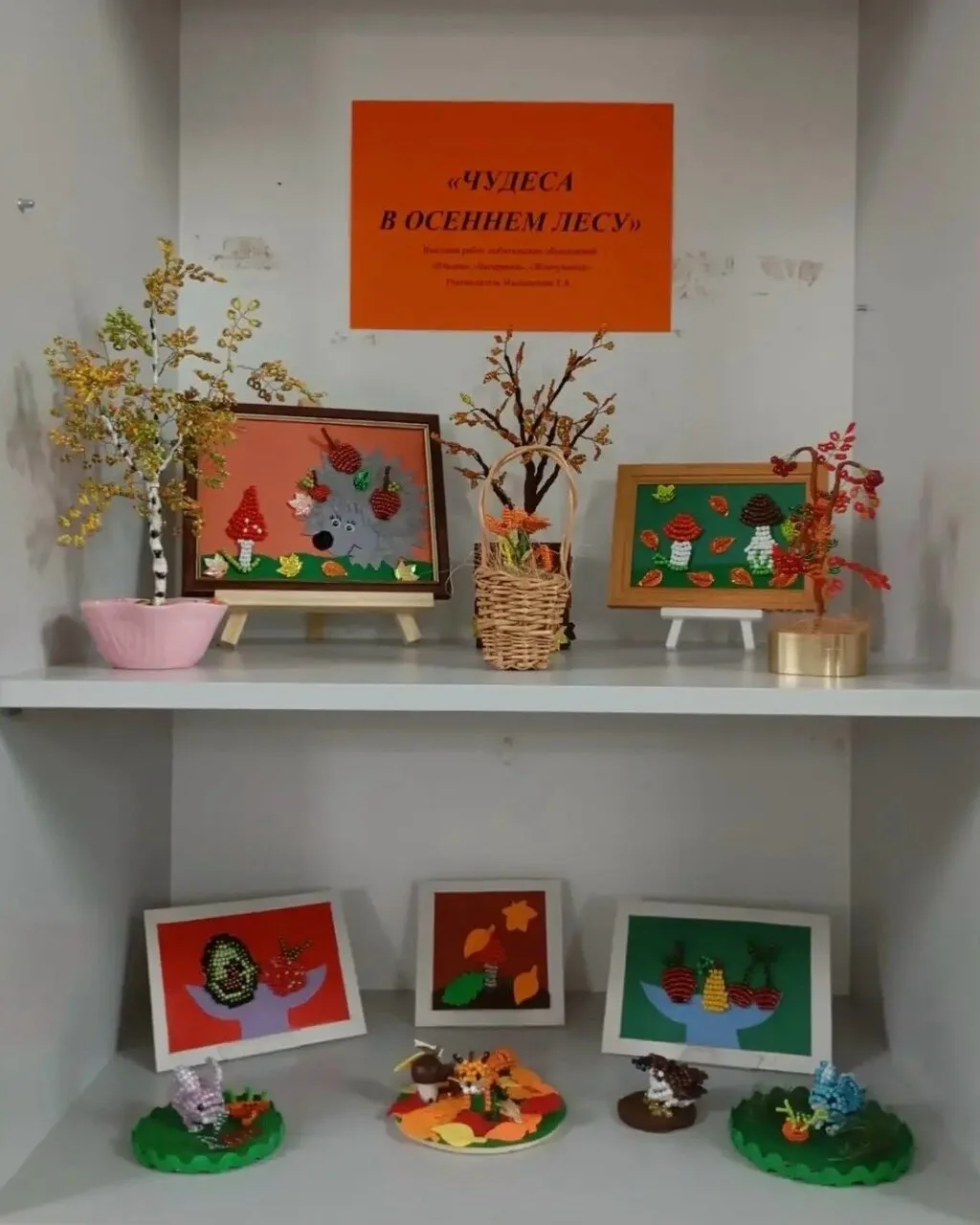 🍂🌲 ЧУДЕСА В ОСЕННЕМ ЛЕСУ 🌲🍂