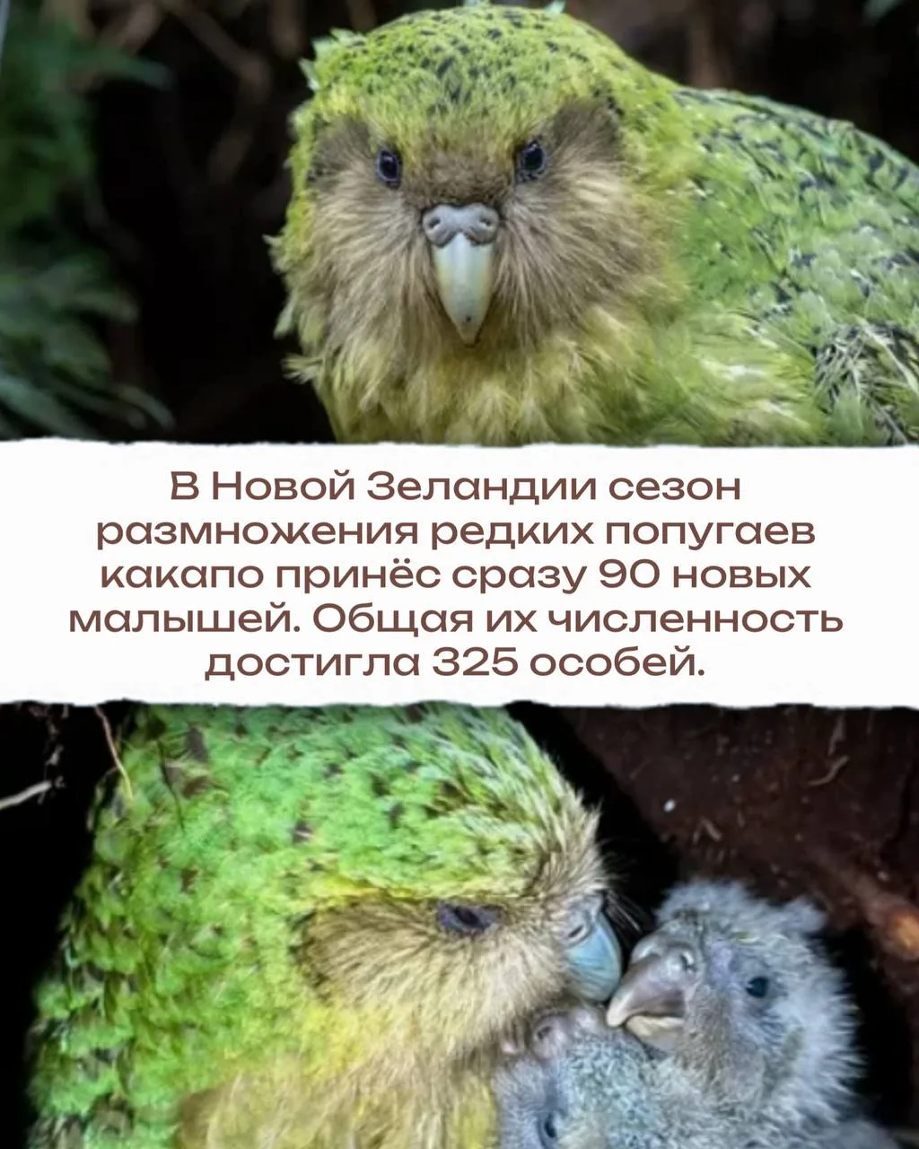 ДОБРЫЕ СУББОТНИЕ НОВОСТИ 🗞