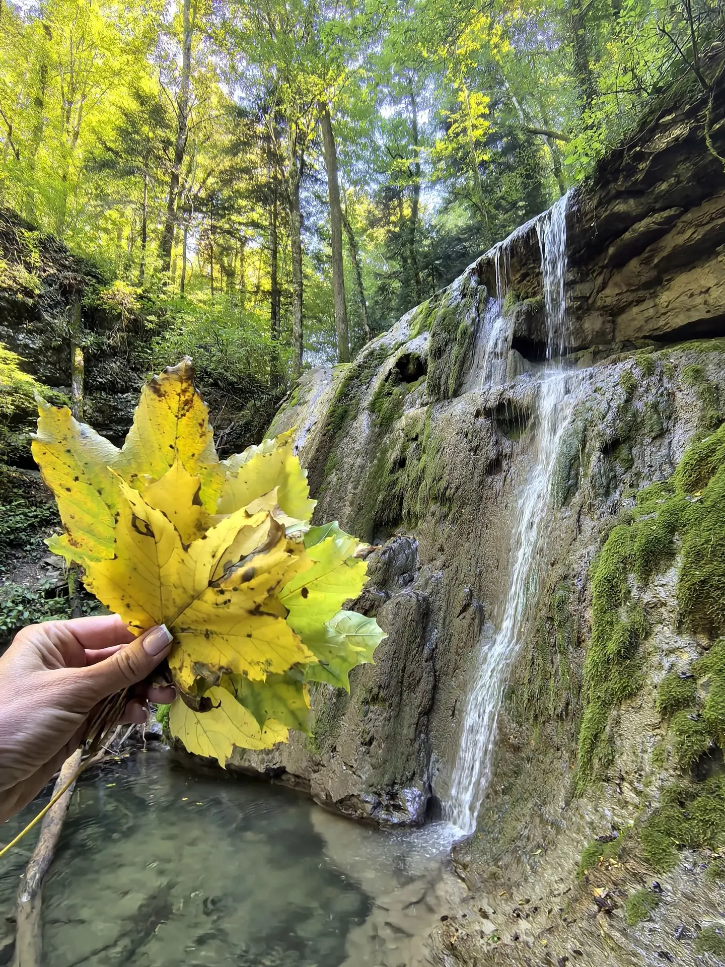 Осень на Каверзинских водопадах 🍂