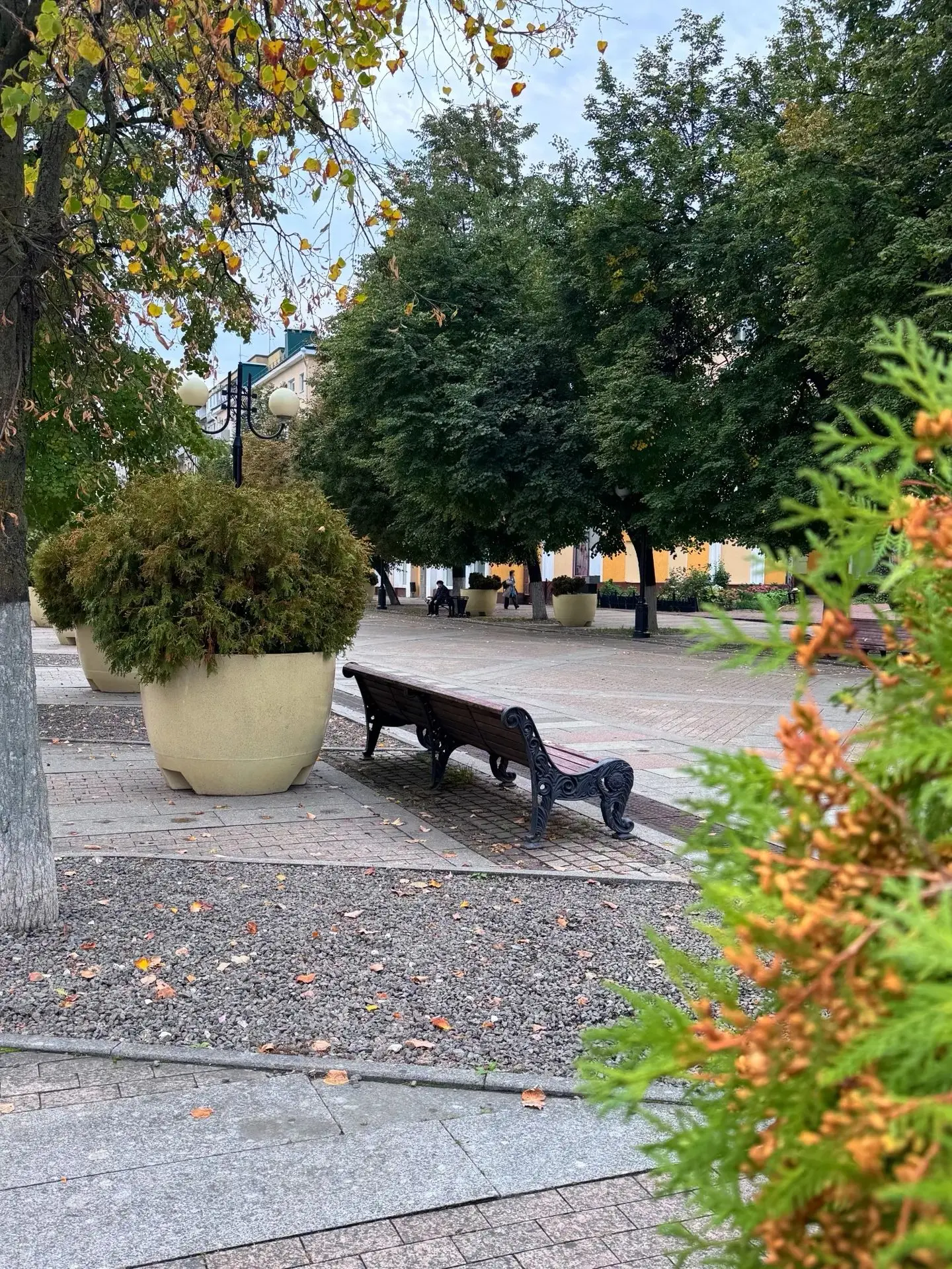 Доброе утро, пензенцы!🙂