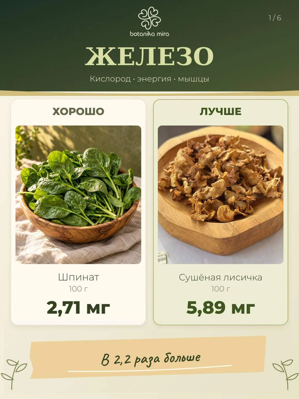 5 микро- и макроэлементов, из-за которых вам стоит добавить в рацион лисичку 🍄