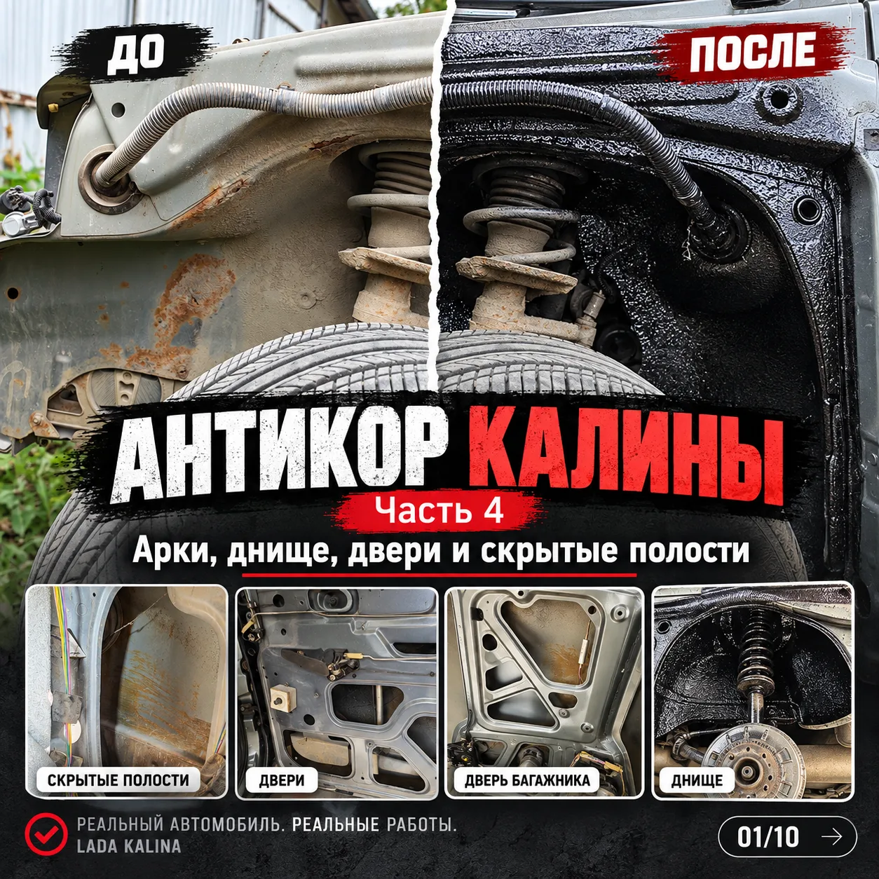 ЧЁРНЫЙ АНТИКОР МОЖЕТ ВЫГЛЯДЕТЬ ОЧЕНЬ КРАСИВО.