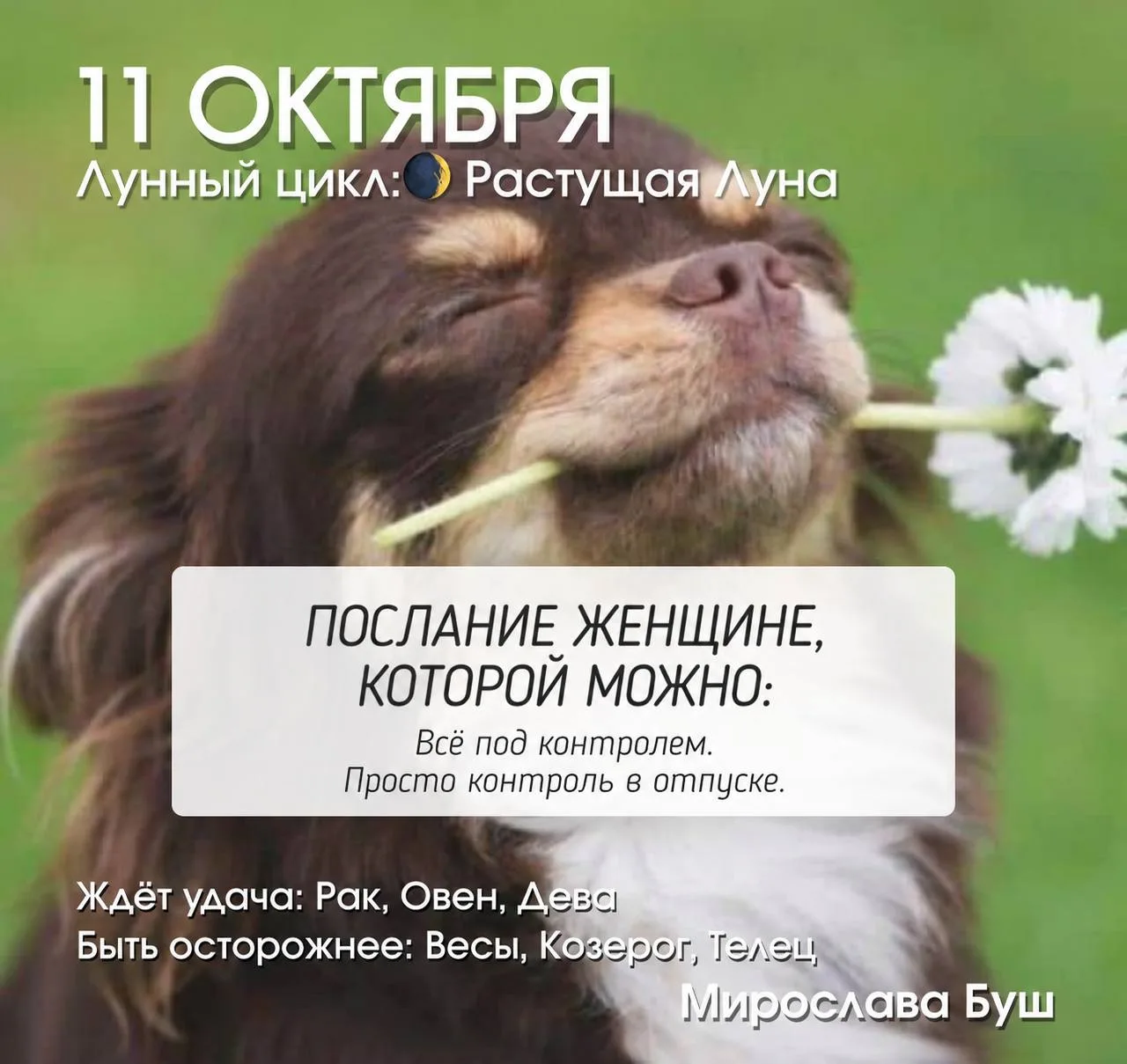 11 октября РЕКОМЕНДАЦИИ 🔥