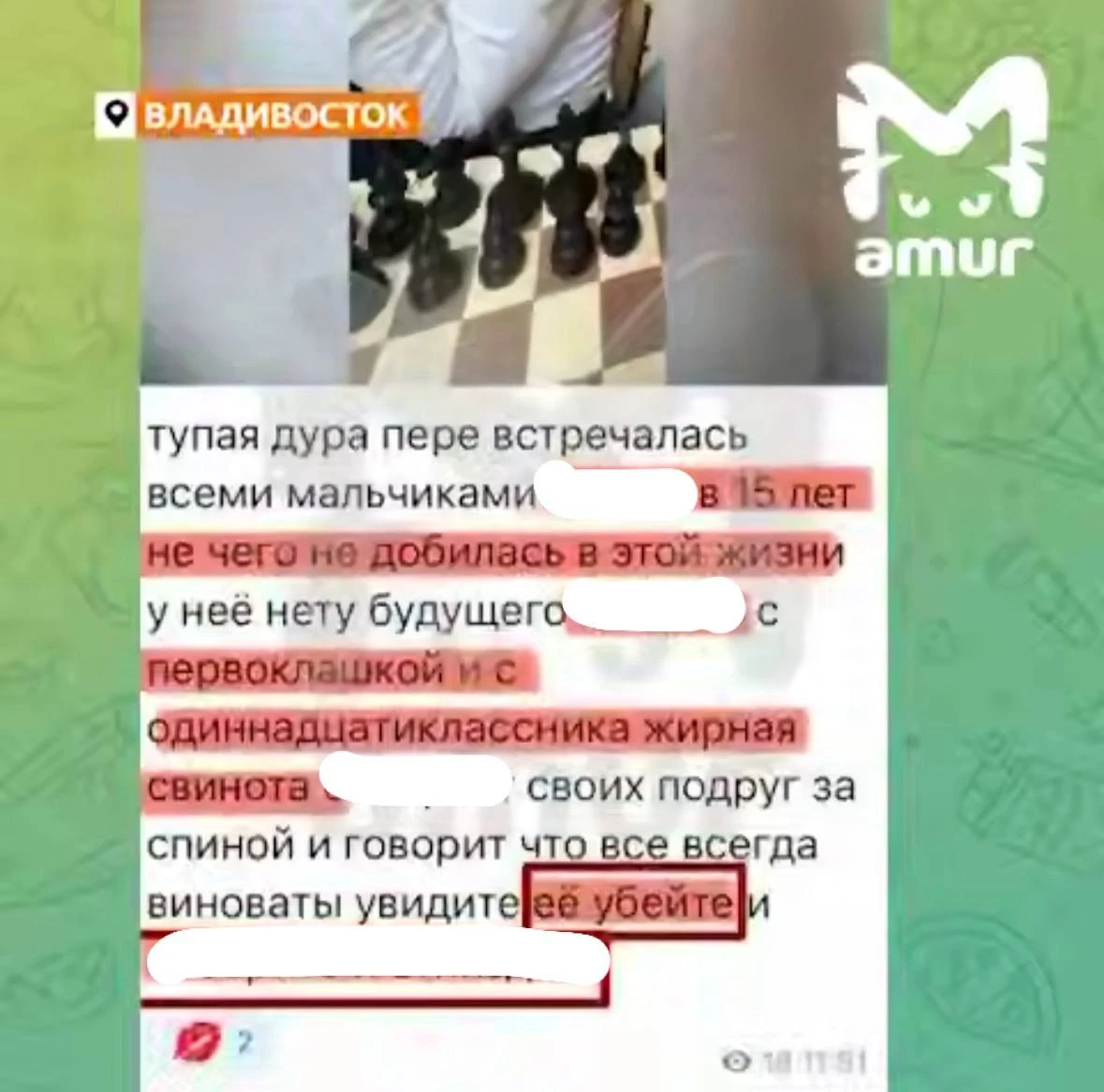 ⚡️Во Владивостоке нашли канал, где унижают детей и призывают их убивать.