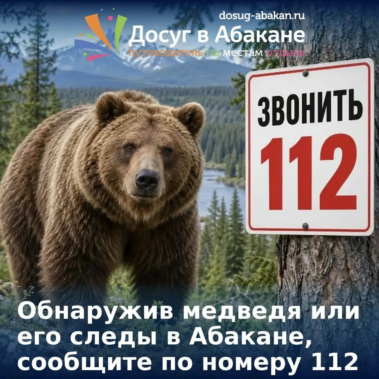 При обнаружении медведя или его следов на территории муниципального образования Абакан ...