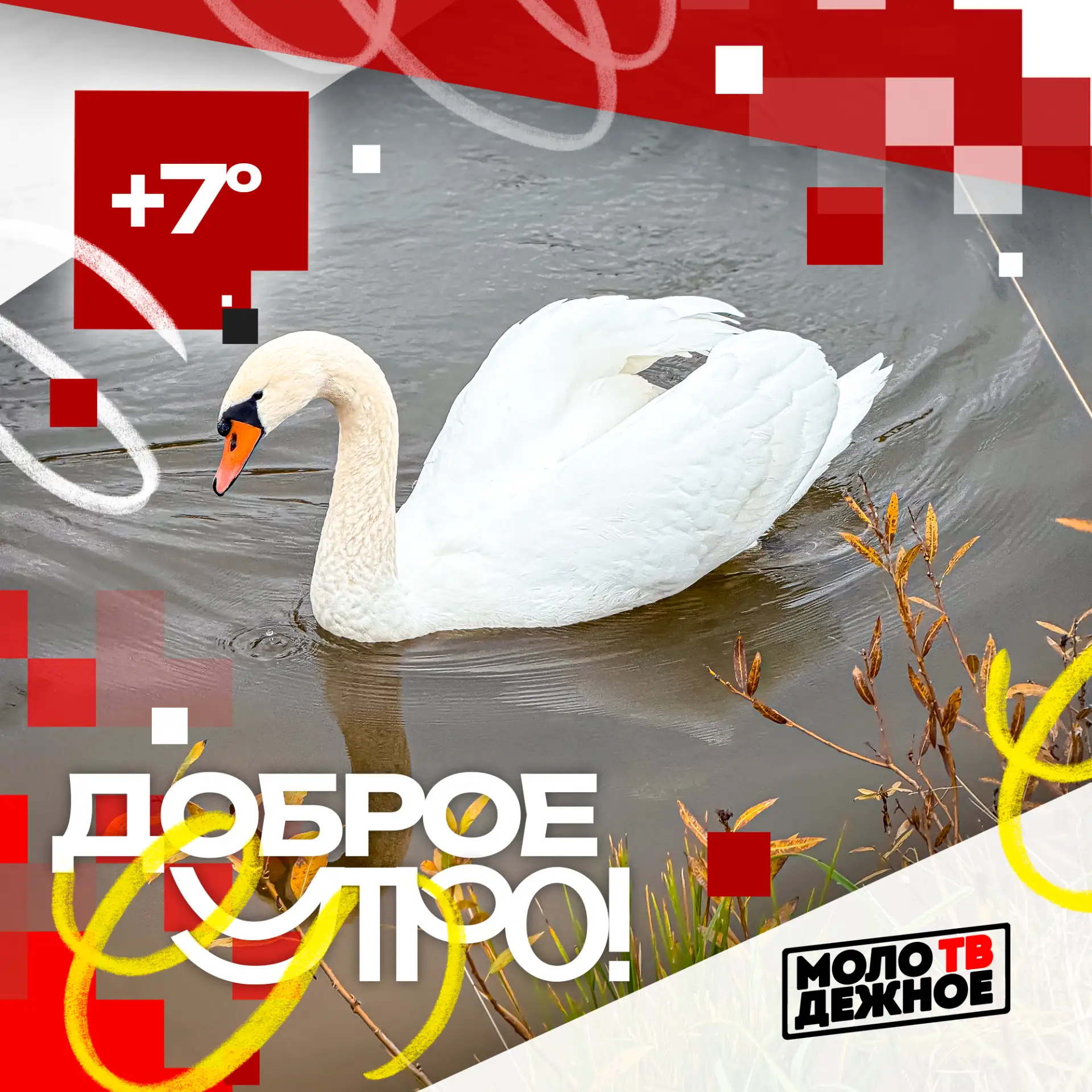 Доброе утро, родные!