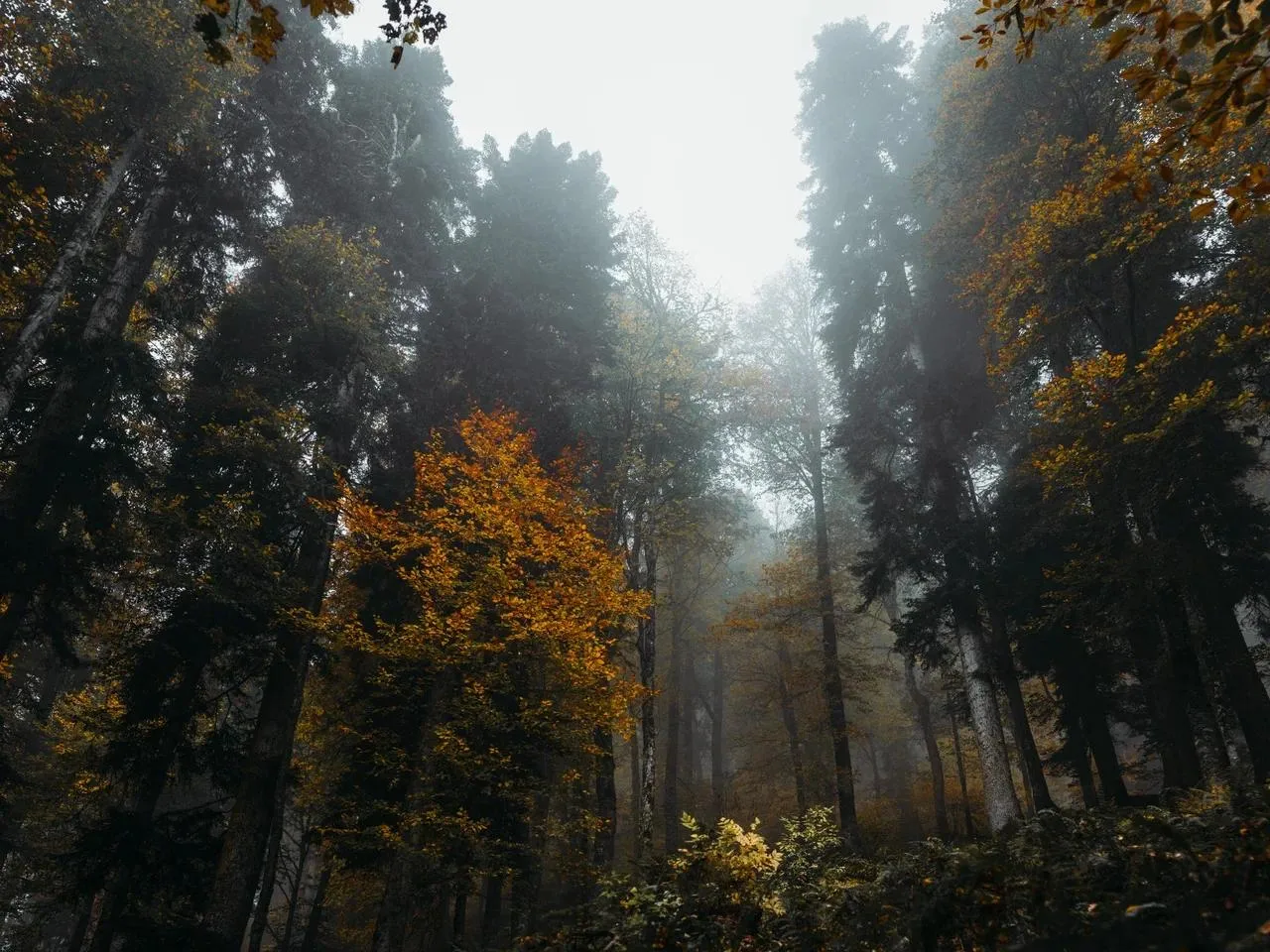 Доброе утро, дорогие гости ❤️