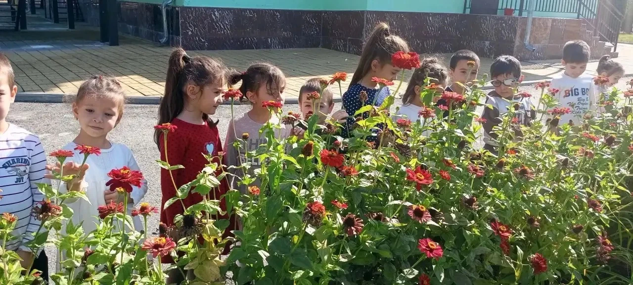 Осень уже подходит к концу, но погода всё еще радует нас своим теплом! Сегодня ребята и...