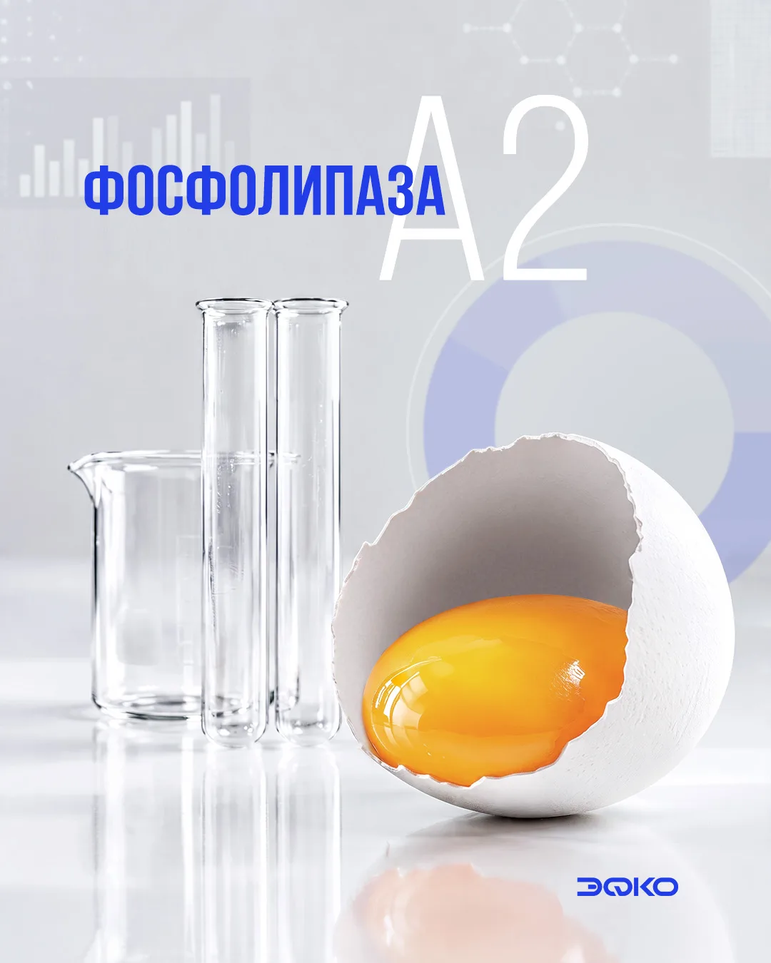 Секрет – в яйце. Секрет яйца – в фосфолипазе