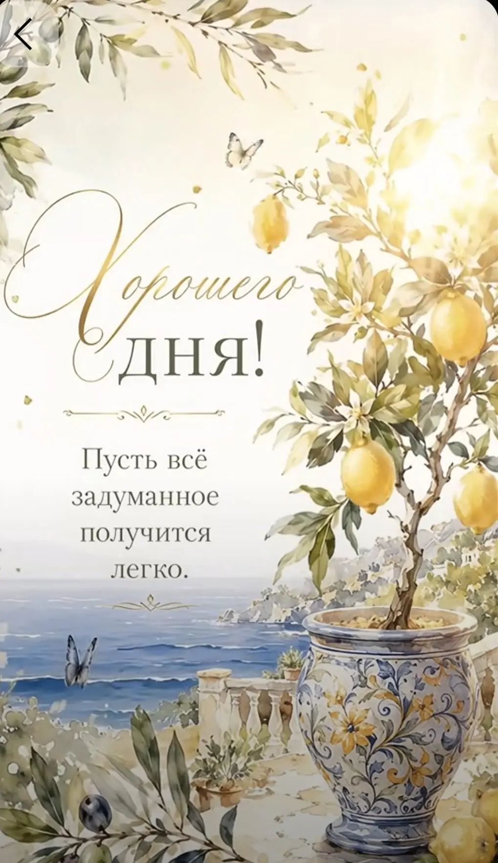 #хорошегодня