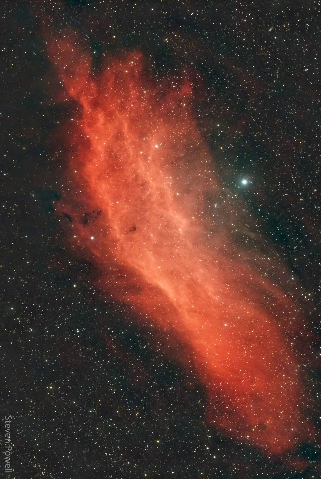 NGC 1499: туманность Калифорния [Космокадр 19.12.2023]
