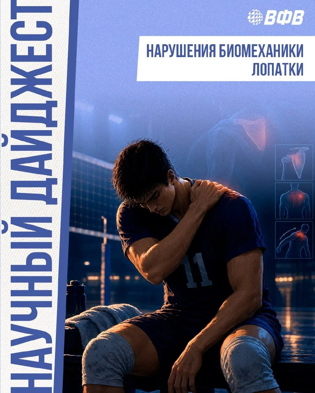 Нарушения биомеханики лопатки у волейболистов 🤷‍♀️