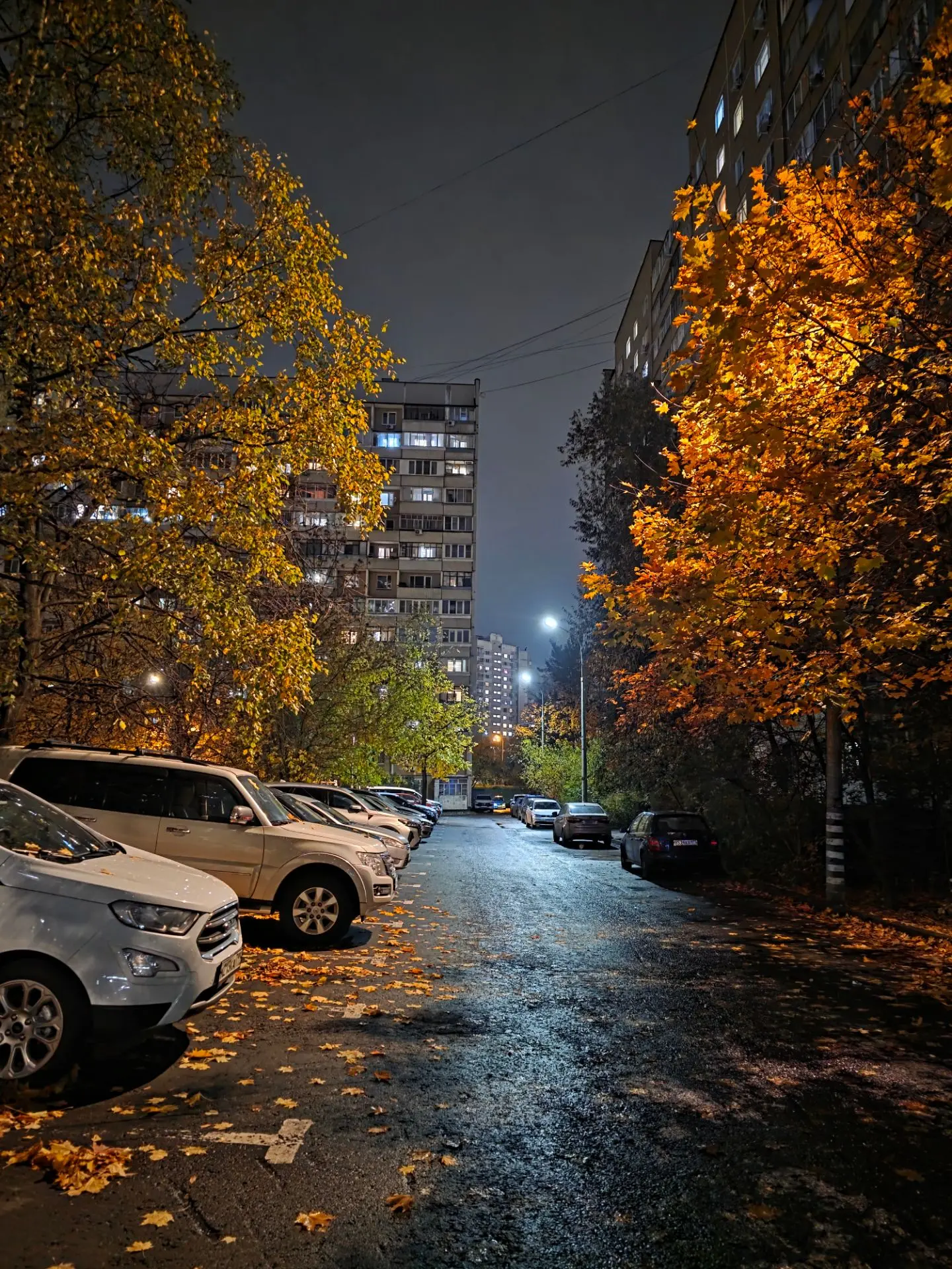 Красиво😍♥️🍂🍁