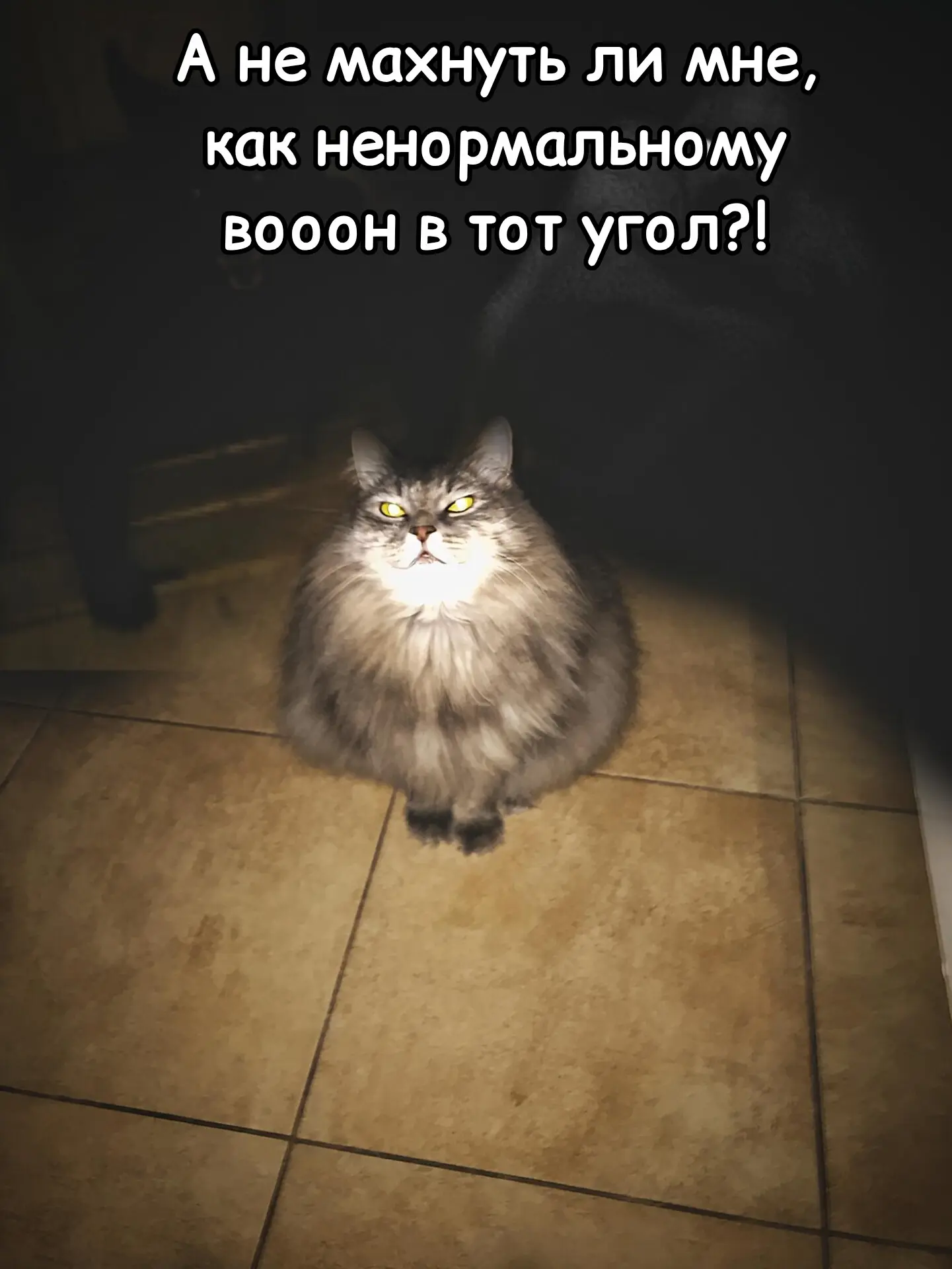 Все ещё не с нами? Подпишитесь!