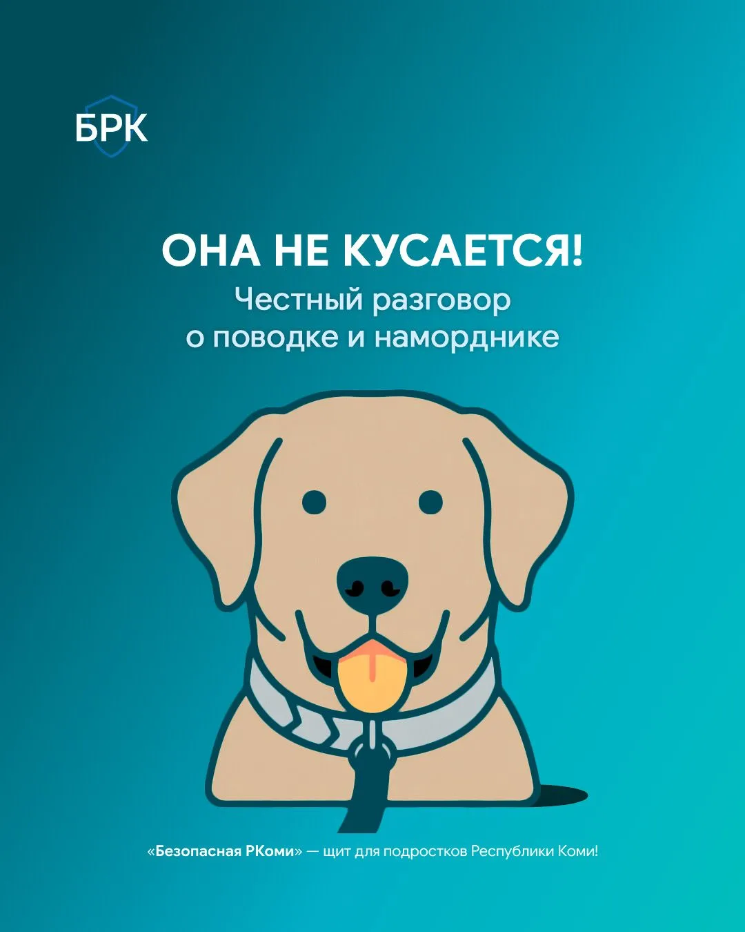 🐕 «Она не кусается!» — фраза, которую слышал, наверное, каждый, кто хоть раз гулял по ...