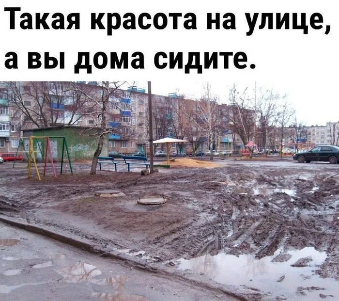 🎄Предстоящая зима в Москве будет теплой или даже бесснежной, — климатологи