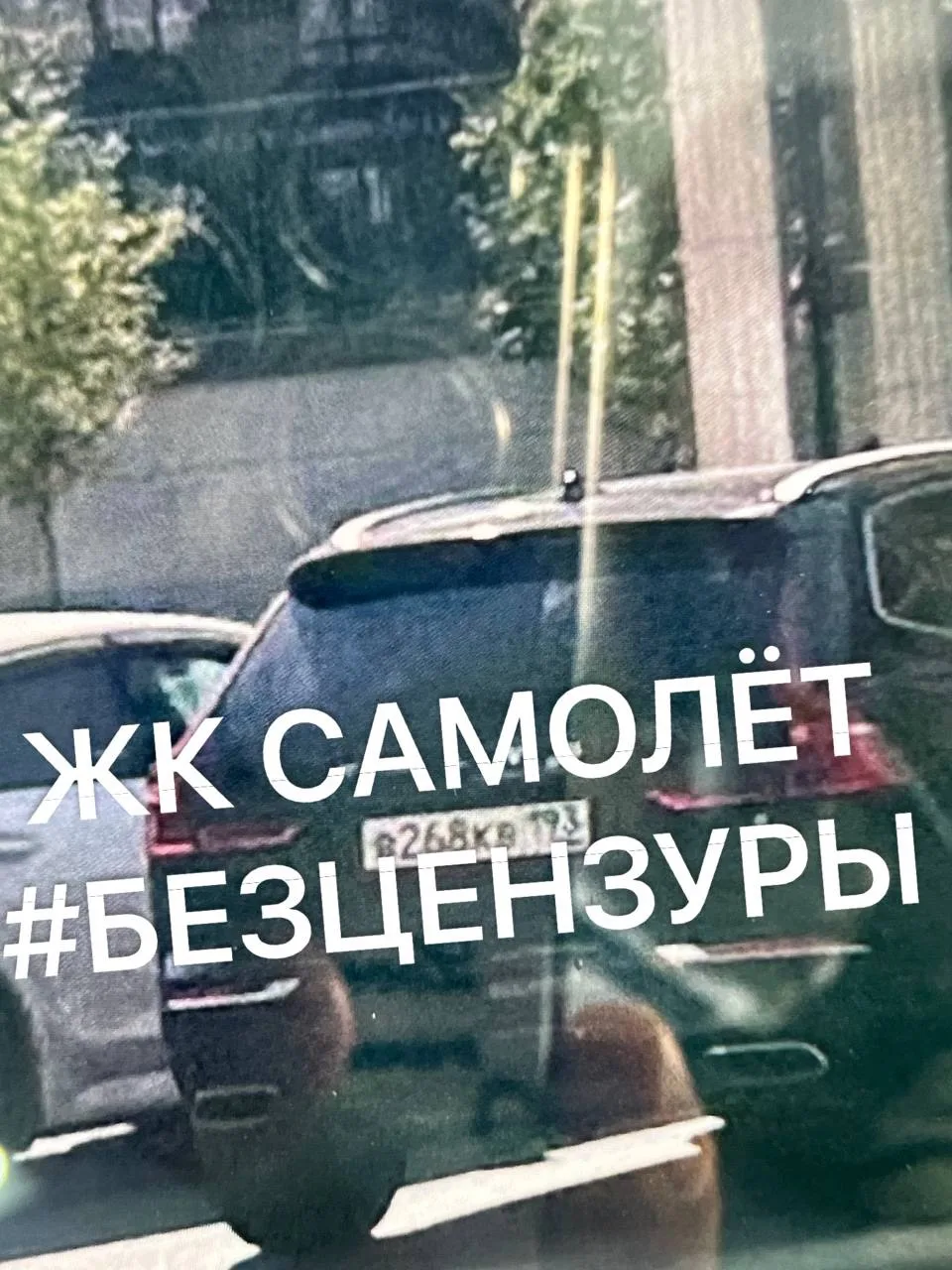 🚨 Вчера тоже чуть не сбили собаку. Собаководы, обзаведитесь поводками, чтобы не рыдать...
