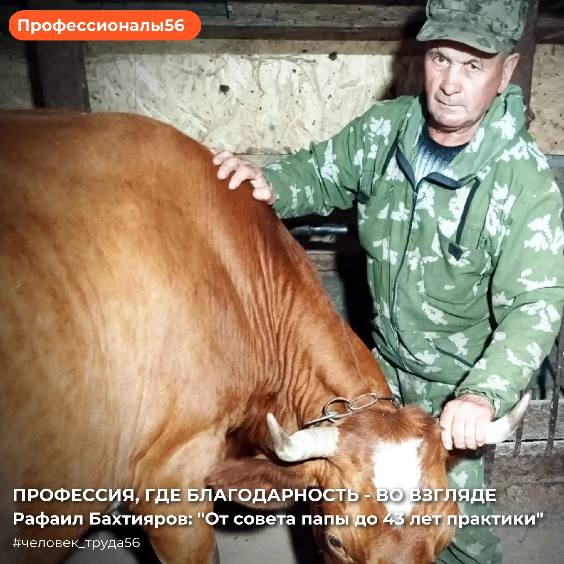 🐈Какая картинка всплывает у вас перед глазами, когда заходит разговор о профессии "вет...