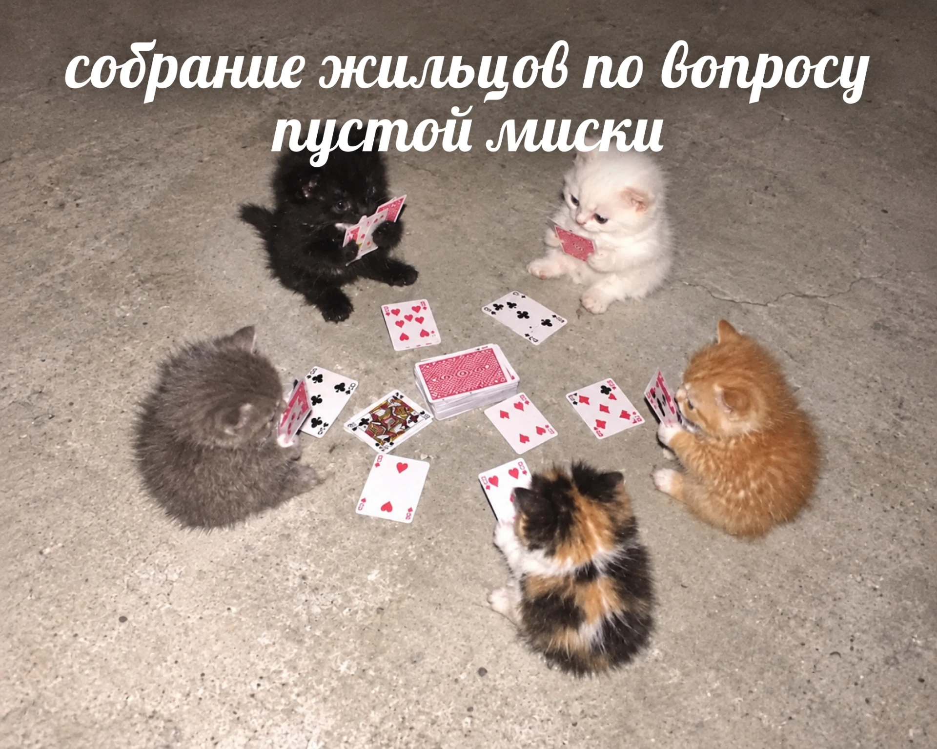 🃏 Вопрос на повестке дня
