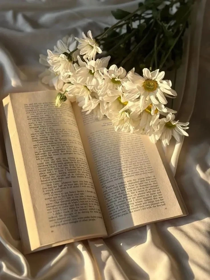 Аватарки с книгами📖