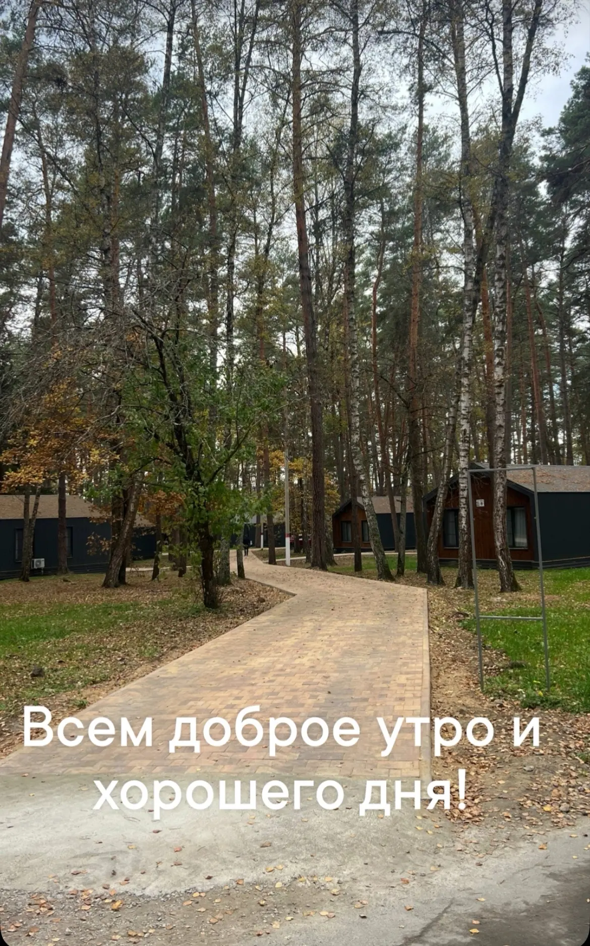 У меня в планах на сегодня много километров, немного работы и много Дианы.
