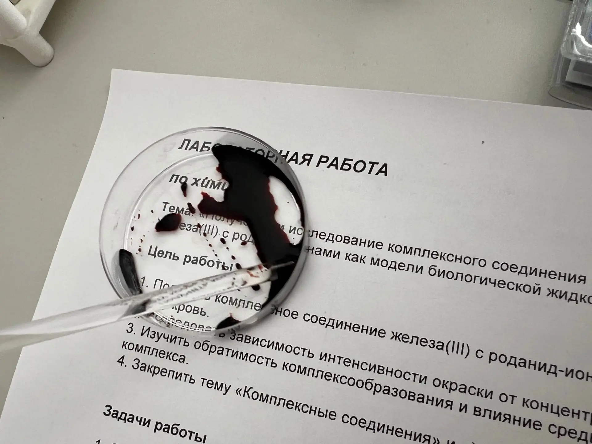 Кадр из школьной лаборатории: