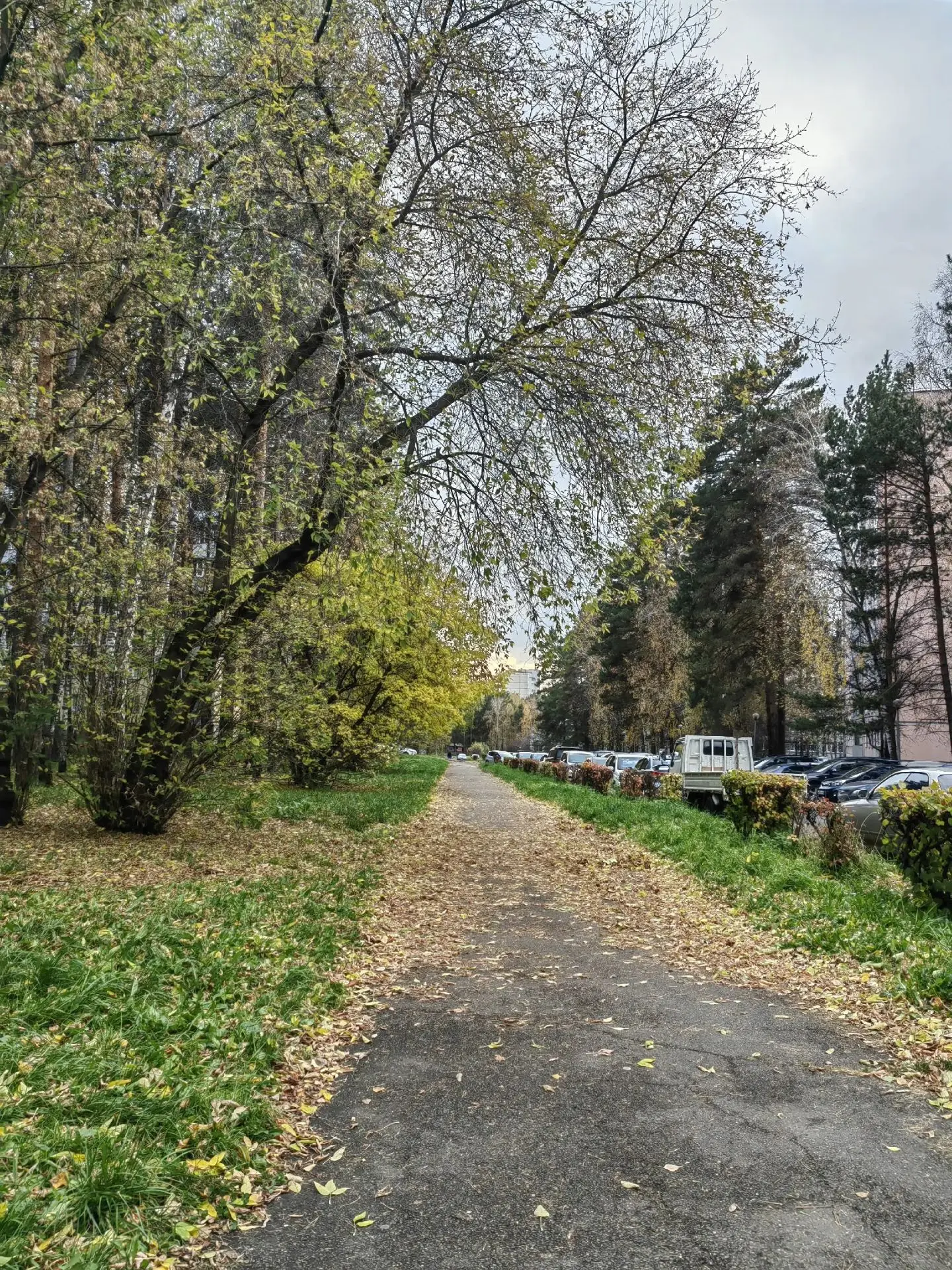 ДЕНЬ СО СНЕЖКОМ