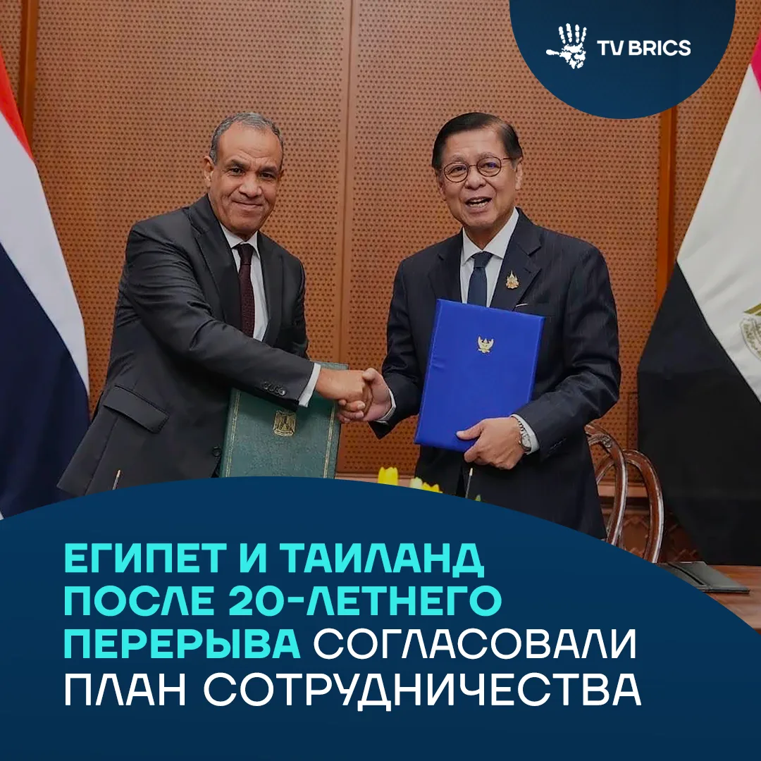 Египет предлагает Таиланду новые возможности для выхода на рынки Африки.