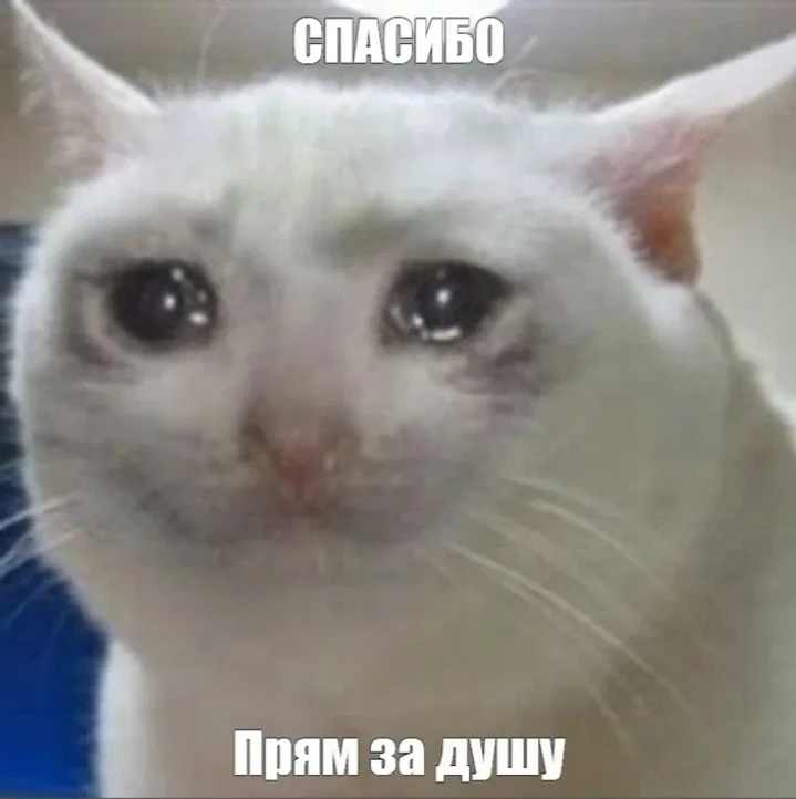 Ваааай!Сколько накидали крутых вариантов, мои хорошенькие🥰🥰Теперь на каждый такой выд...