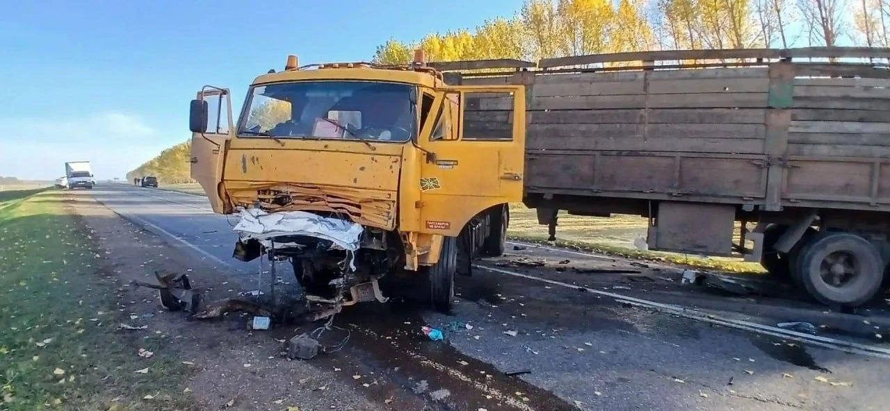⚡️ В Заинском районе в ДТП погиб водитель легковушки