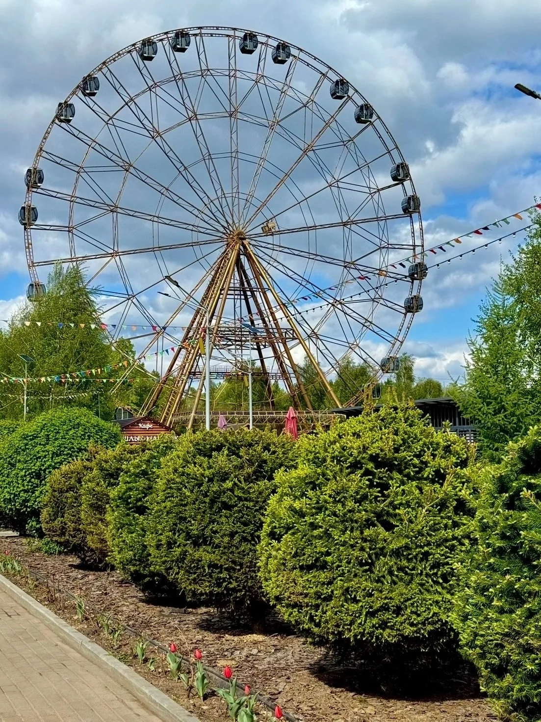 🎡 В Барнауле папы смогут бесплатно прокатиться на колесе обозрения в честь Дня отца!
