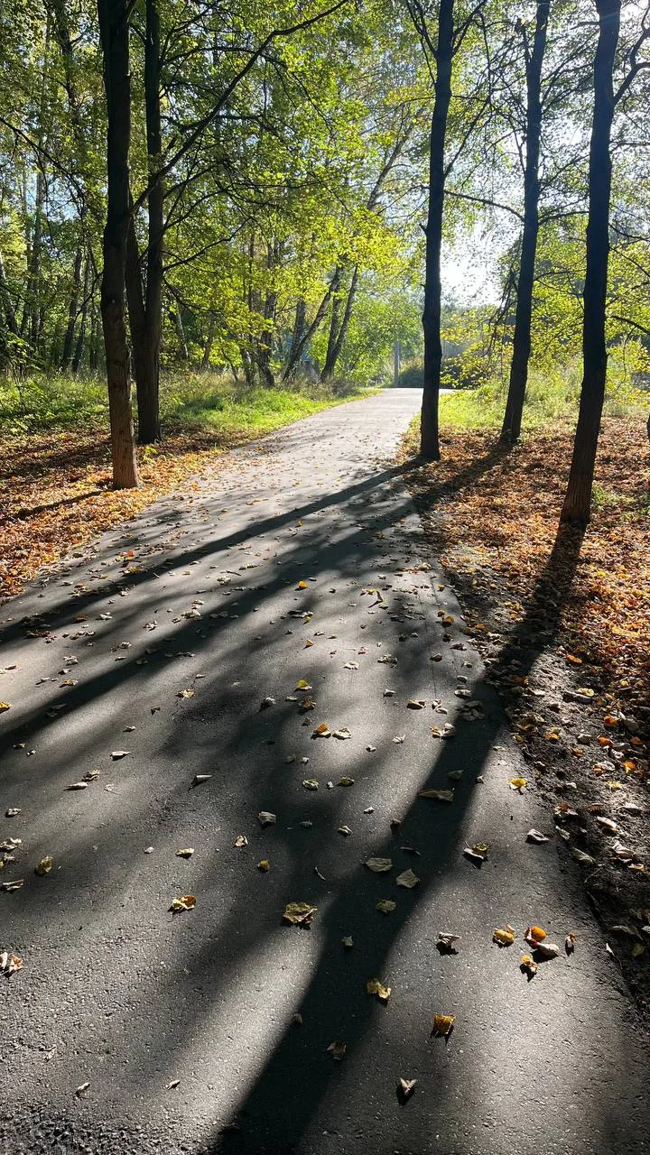 🍁 С приходом октября в наших студиях начался и новый пейзаж — тропинки в Битцевском па...