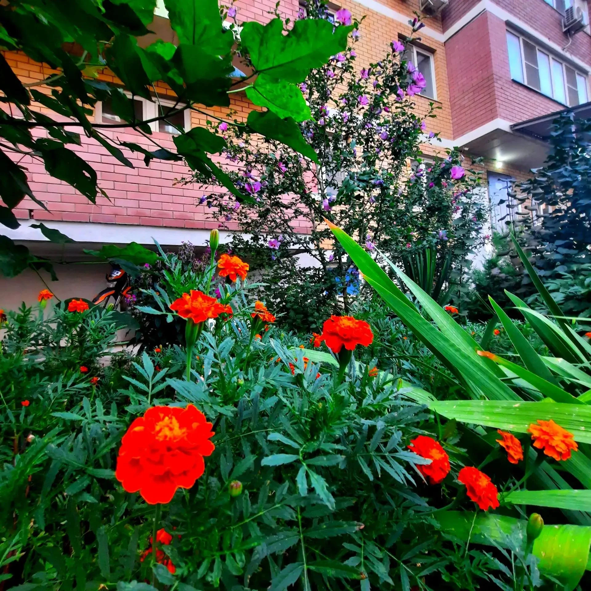 🏡  В пятницу (16.10.2026г.) офис ТСЖ работать не будет.