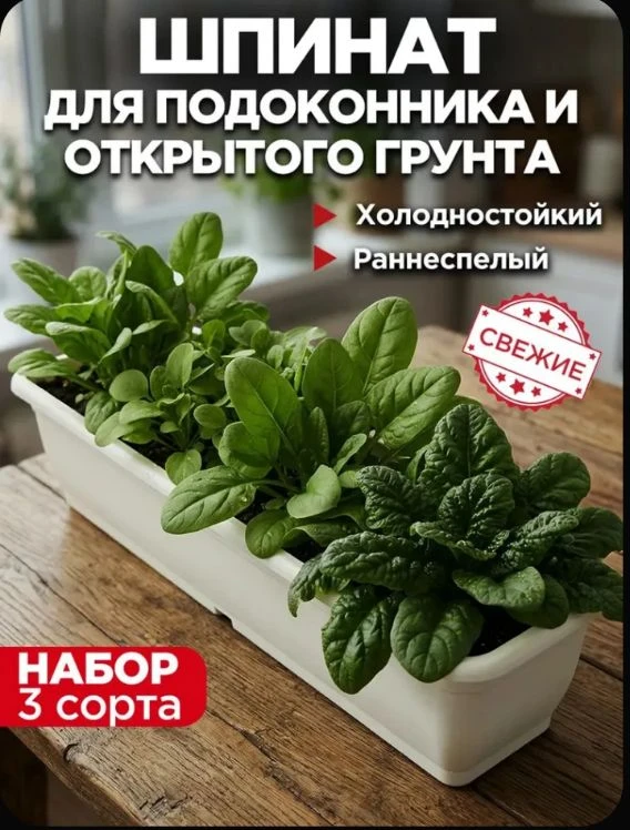 Шпинат для выращивания на подоконнике 🥬