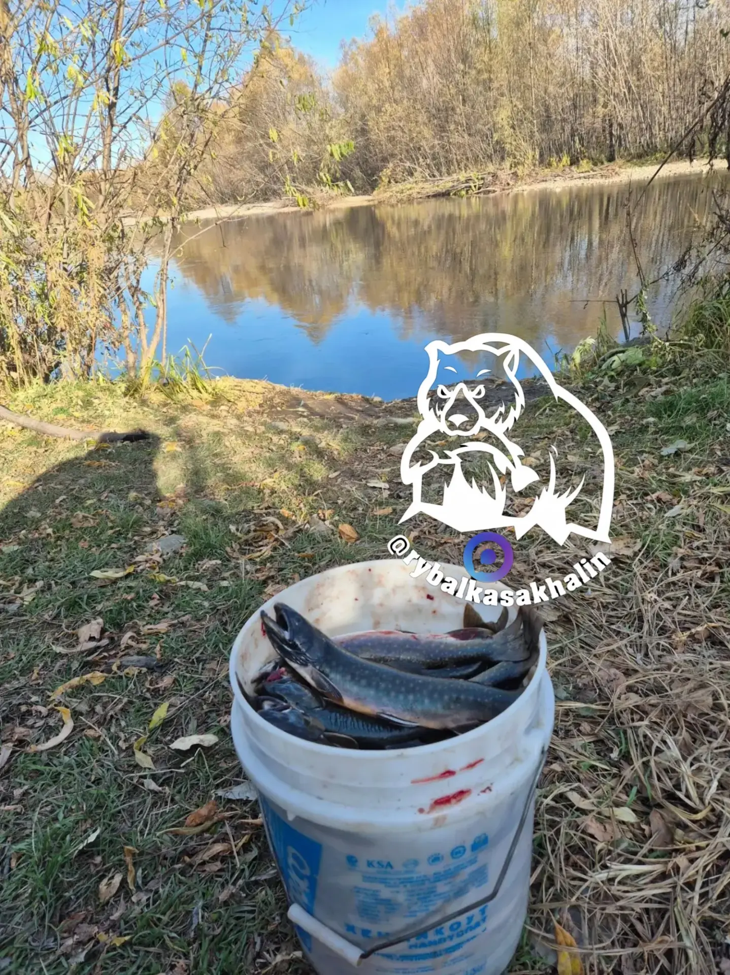Сегодня, р Набиль. Одни гольцы 🔥🎣