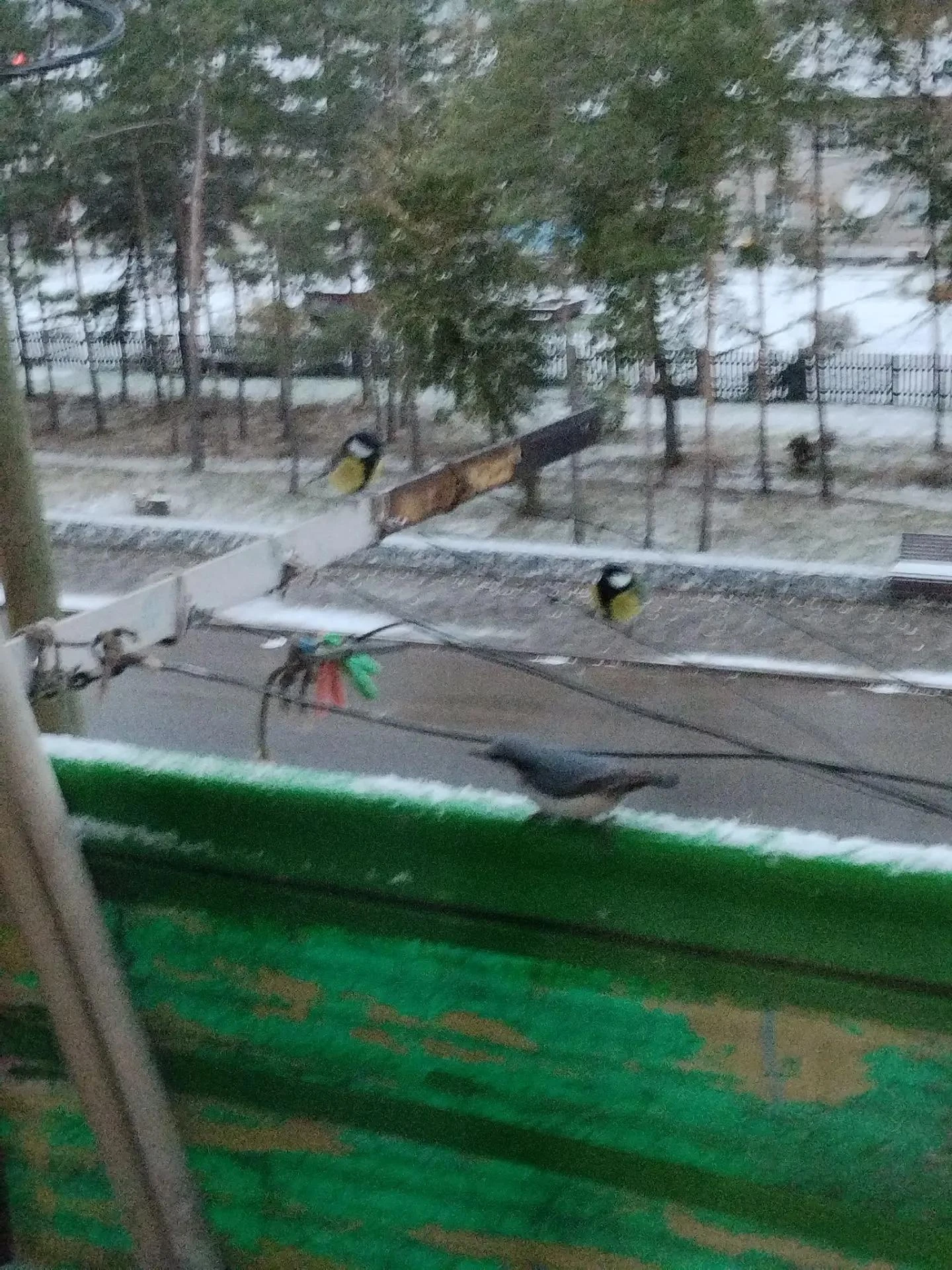 Доброе утро, дорогие подписчики! Запускаем нашу новую утреннюю рубрику.