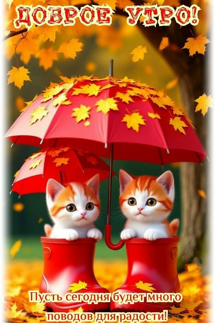 🎀 Красивые открытки