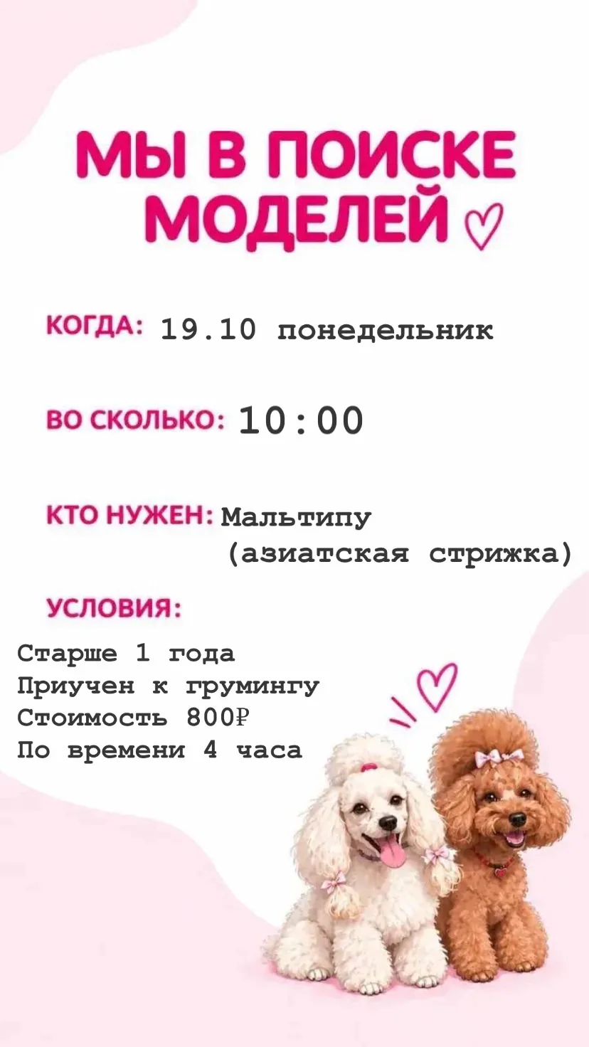 Пишите и присылайте фото для записи💖