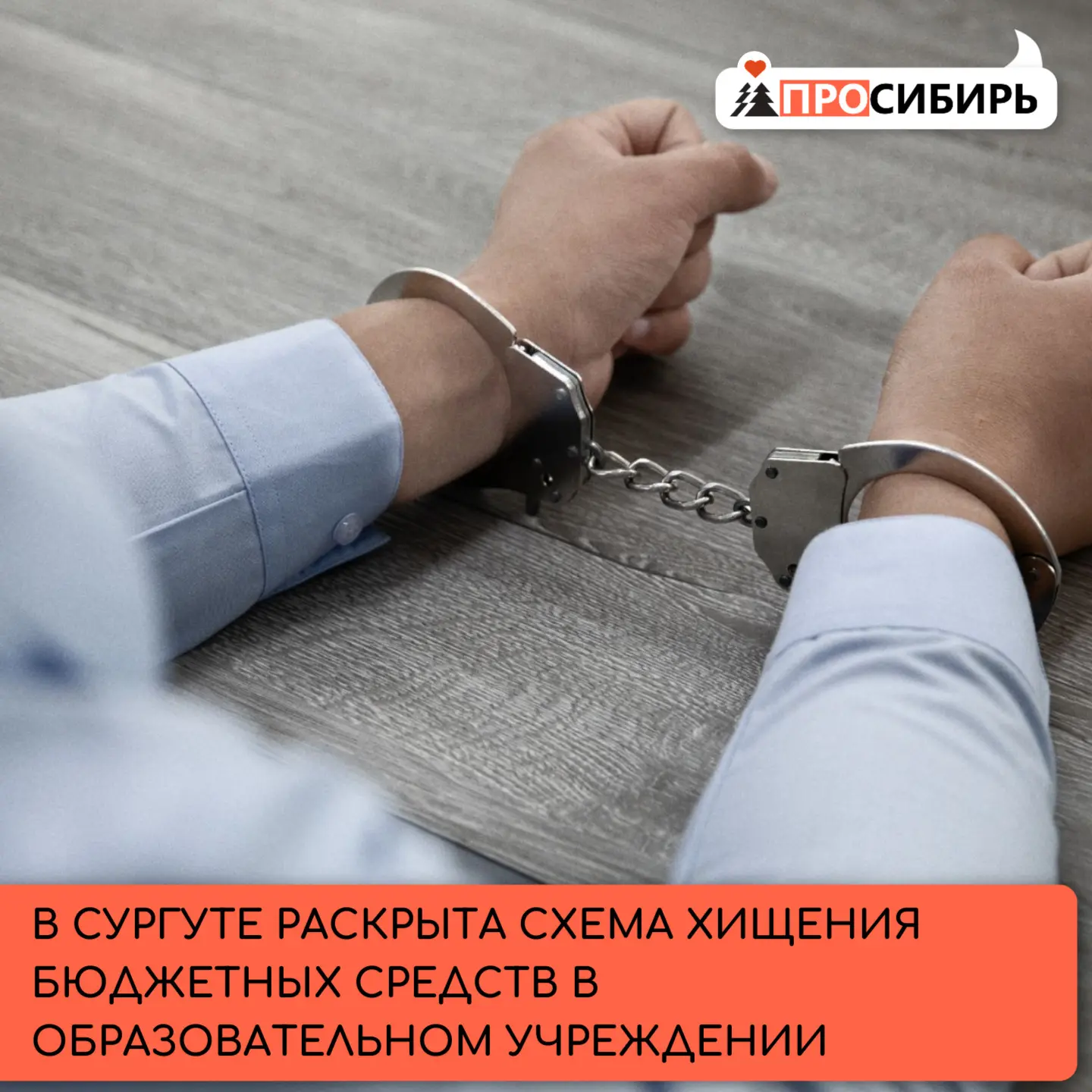 Правоохранители пресекли хищение бюджетных средств в одном из казённых образовательных ...