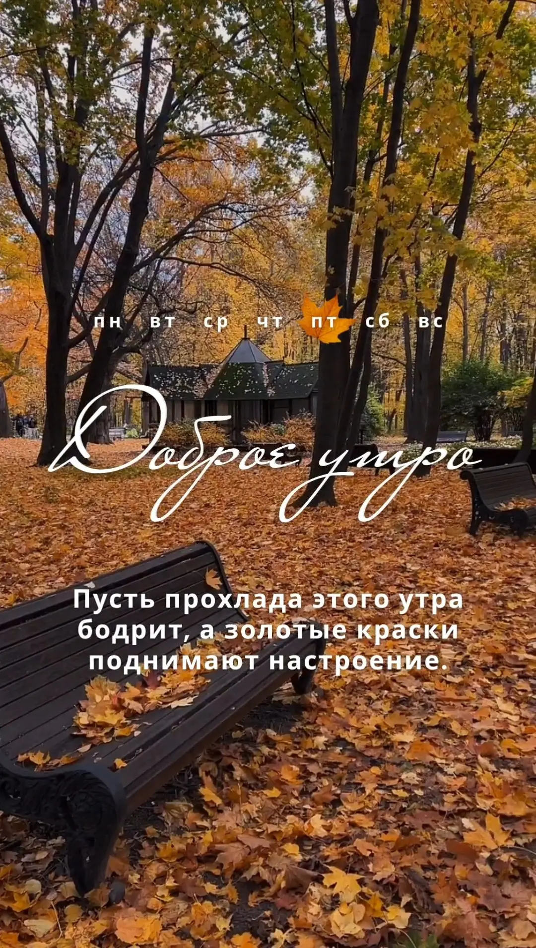 Пусть прохлада этого утра бодрит, а золотые краски поднимают настроение.