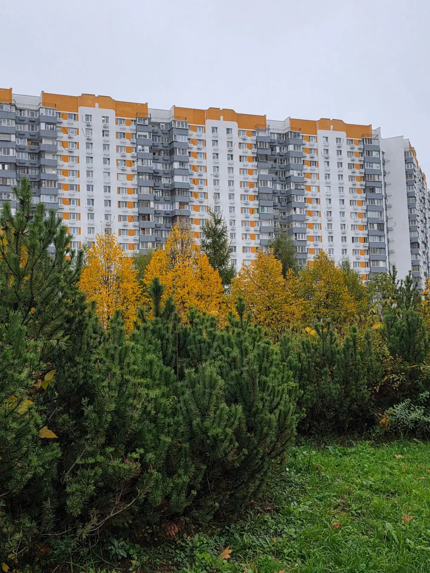 Осень в Митино - это очень красиво🍁