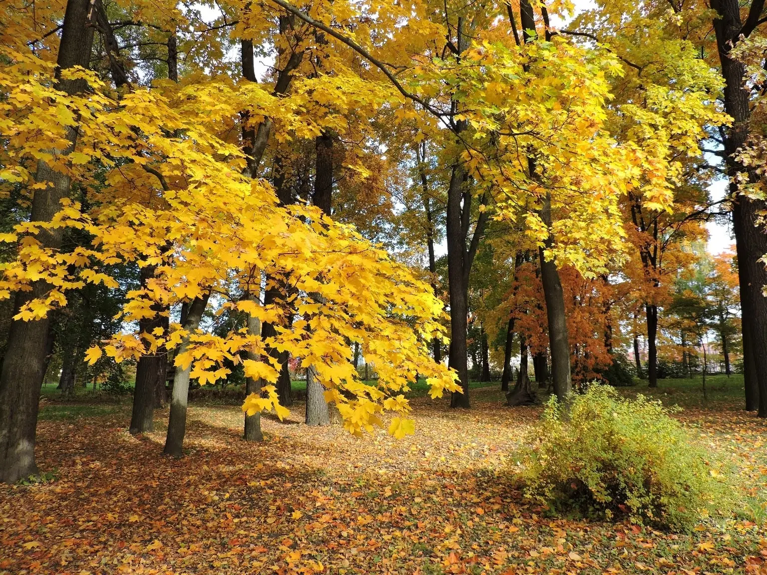 Ботанический парк 🍃🌿🍃